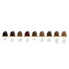 GOLDEN ROSE Gray Hair Touch-Up Stick 06 Light Brown 5.2g